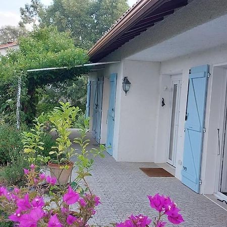 Villa De Charme Avec Piscine Saint-Jory ภายนอก รูปภาพ